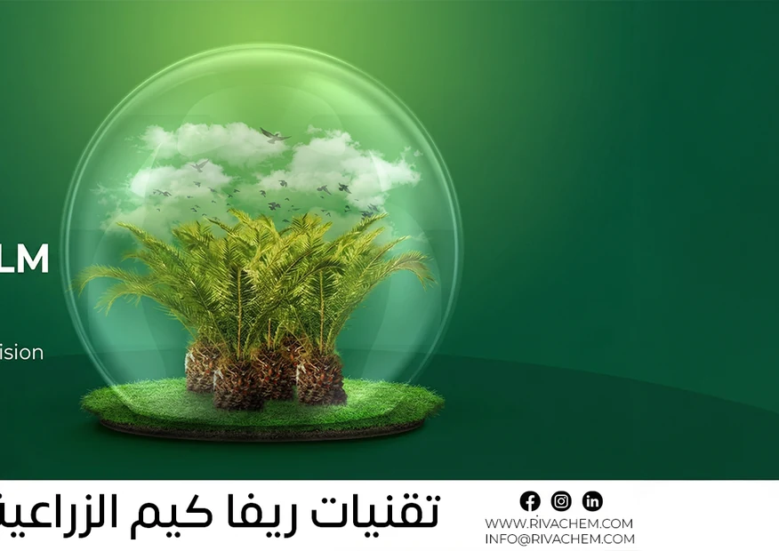 Palm trees protected inside a glass dome